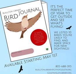 Buellton Bird Journal