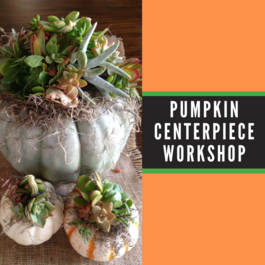 GVL Pumpkin Centerpiece