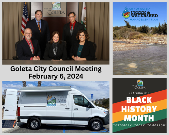 Feb. 6 Council Agenda Item Collage