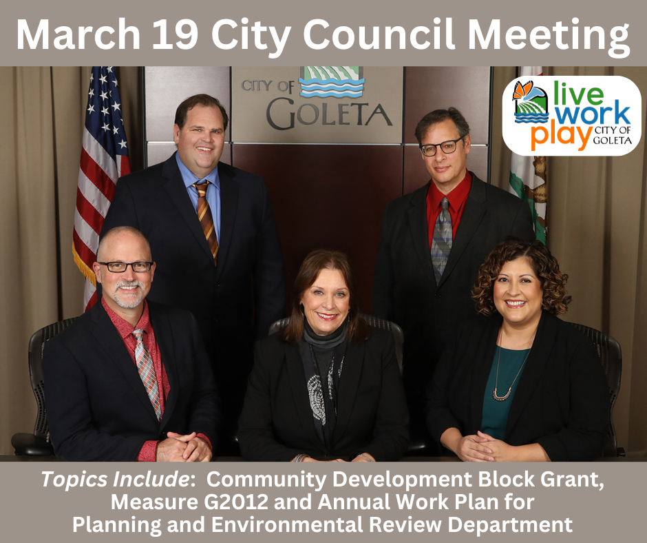March 19 Council Meeting graphic
