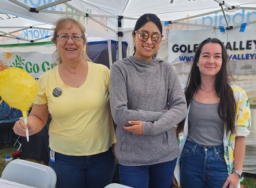 Library Lemon Festival