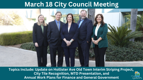 City Council Meeting Graphic 250318