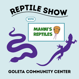 Mahni Reptile Goleta
