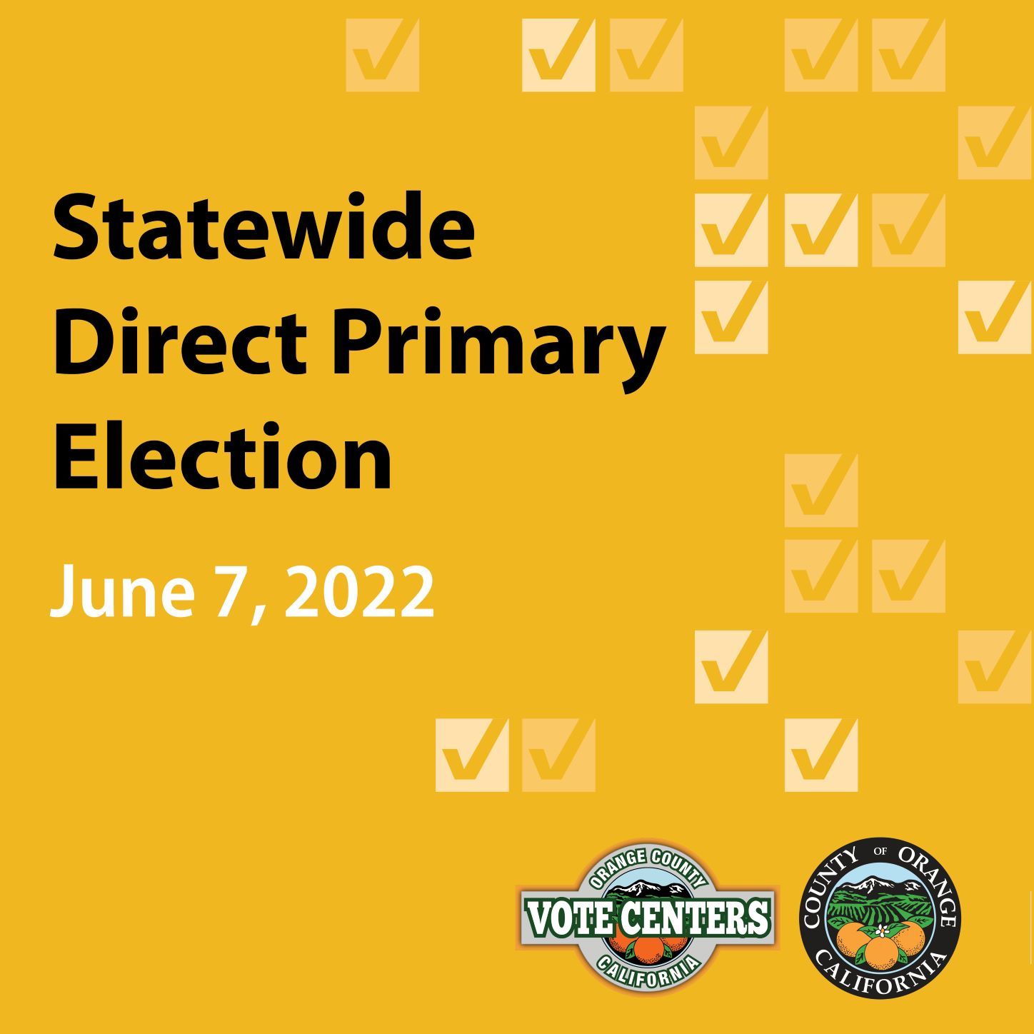Statewide Direct Primary Election
