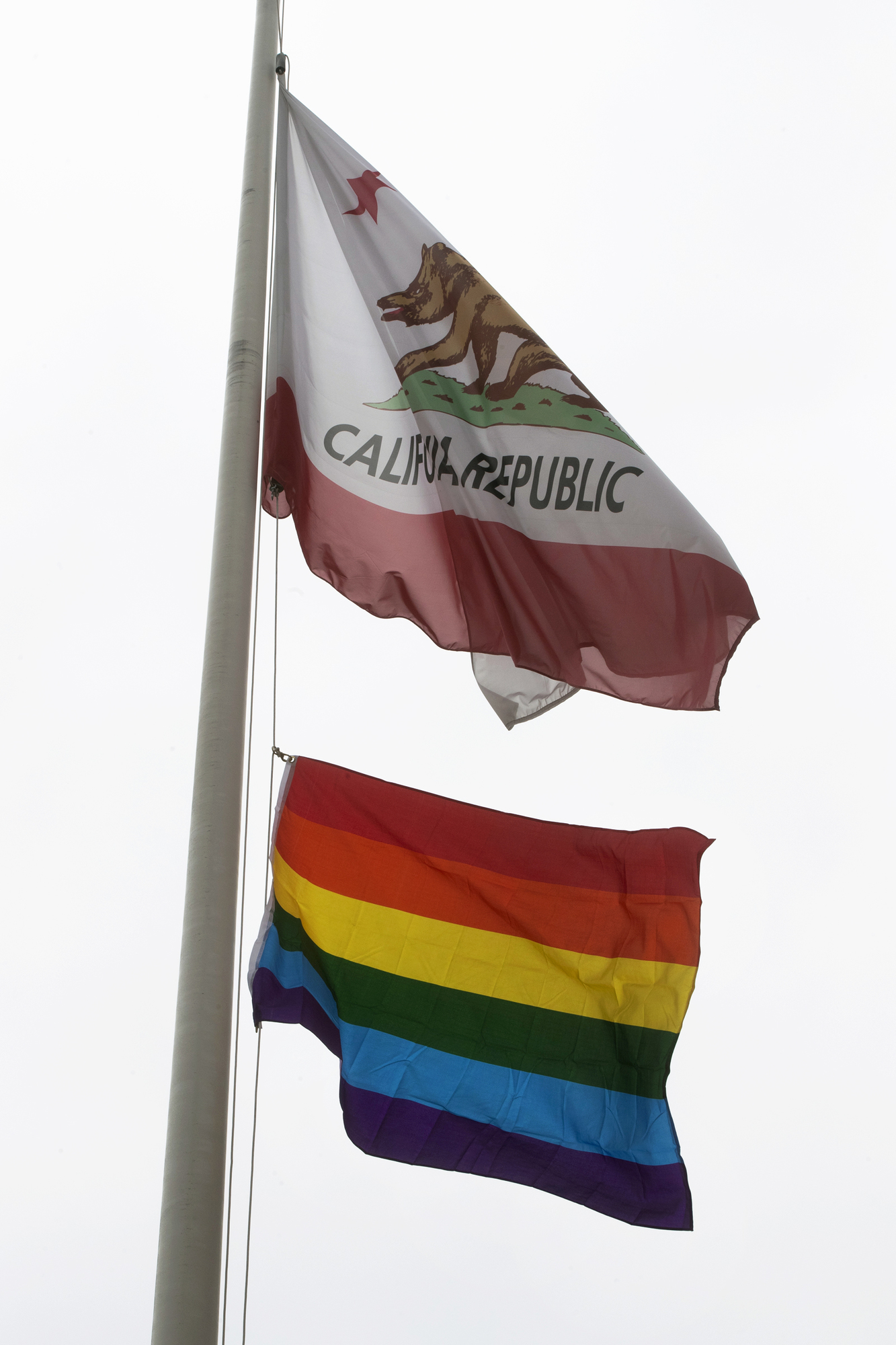 California Flag and Pride Flag