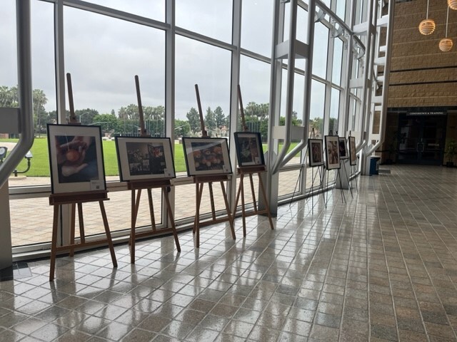 Framed pictures on display on easels at Irvine City Hall 