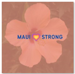 Maui Disaster relief