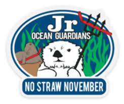 No Straw November