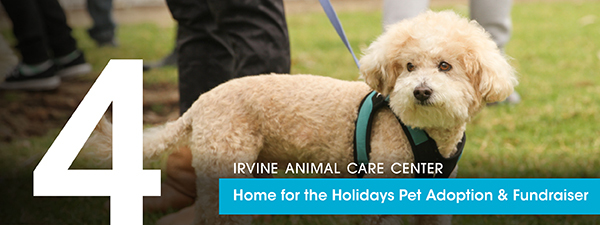 Home for the Holidays