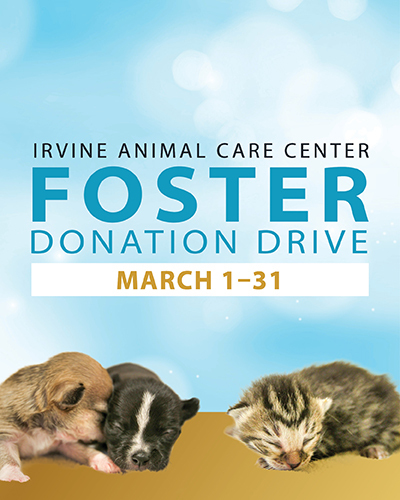 Foster Donation Drive