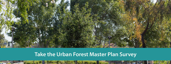 Urban Forest Master Plan Survey