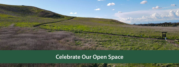 Celebrate Open Space