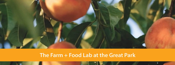 Great Park Farm + Food Lab