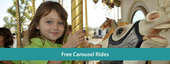 Great Park carousel