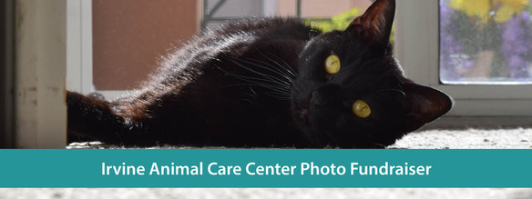 Irvine Animal Care Center Photo Contest 