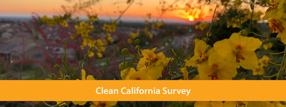 clean california survey