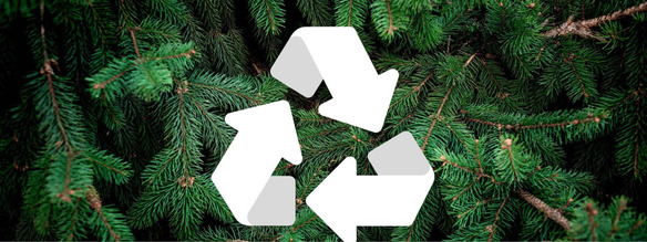 Christmas Tree Recycling