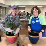 Gardening Workshops: GSI – Garden Scene Investigator