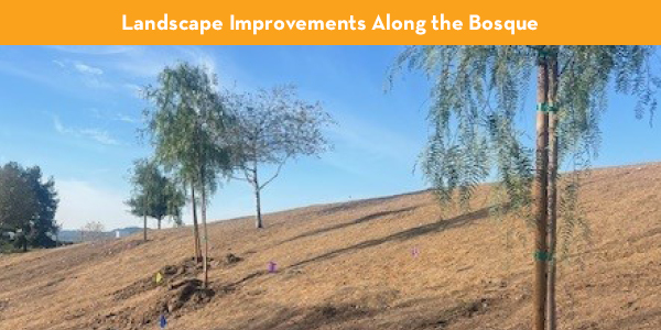 Landscape Improvements Along the Bosque