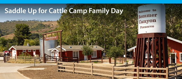 Saddle Up for Cattle Camp Family Day