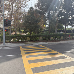 campus drive