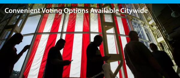 people standing in line voting