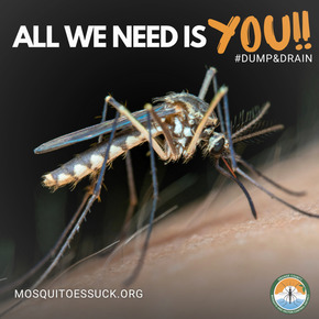 mosquito psa for dump and drain
