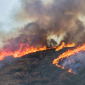 brush fire on a hill