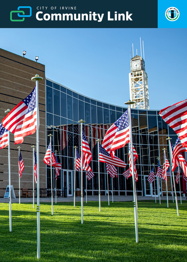 field of valor American flags at city hall