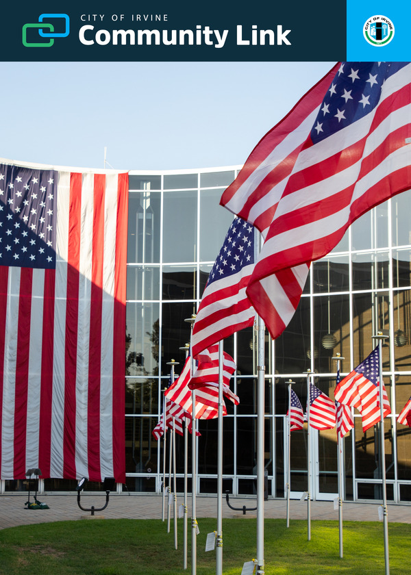 america 250 american flags at city hall