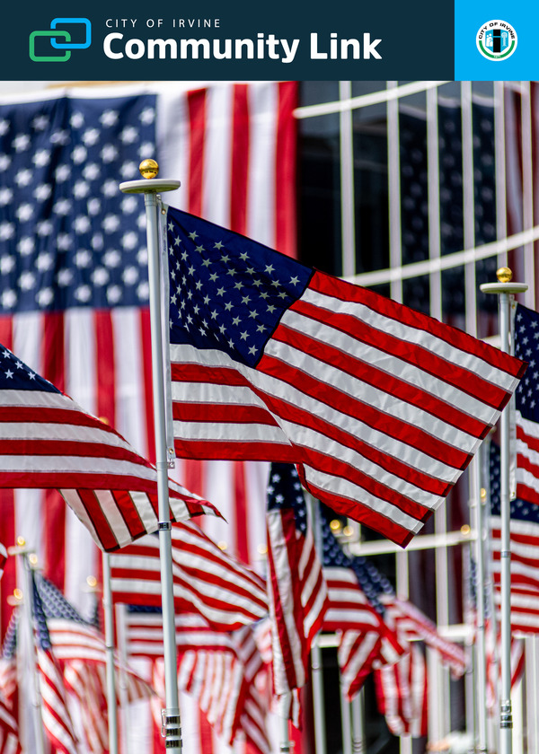 field of valor at irvine city hall, american flags
