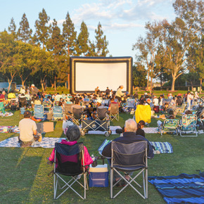 outdoor movie in the park