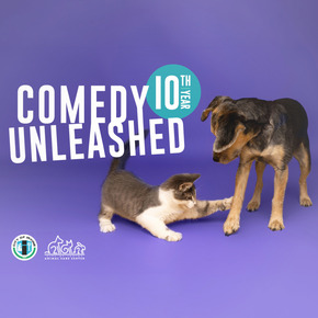 comedy unleashed