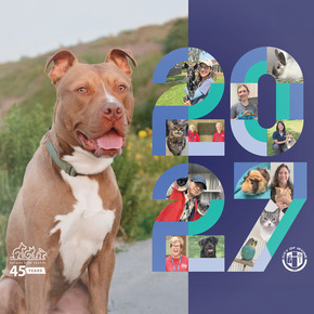 The 2027 Irvine Animal Care Wall Calendar