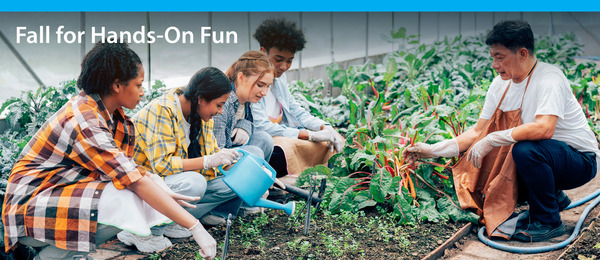 Garden Workshop: Cool Season Veggies