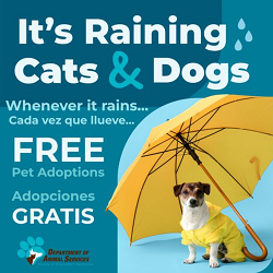 Riverside County Pet Shelter free adoptions on rainy days