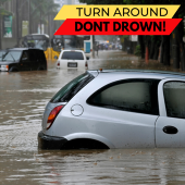 Turn Around, Don't Drown