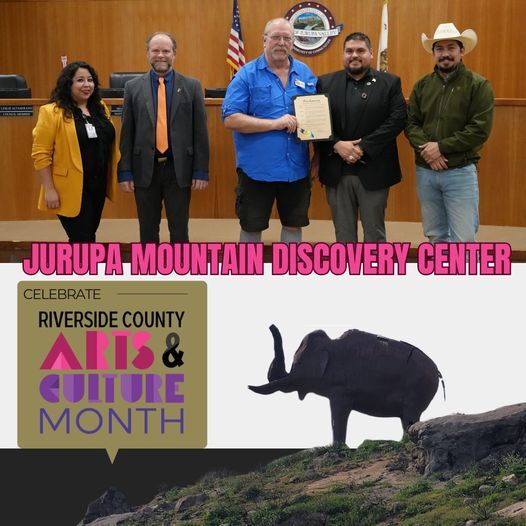 Picture of City Council