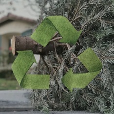Burrtec Tree Recycle