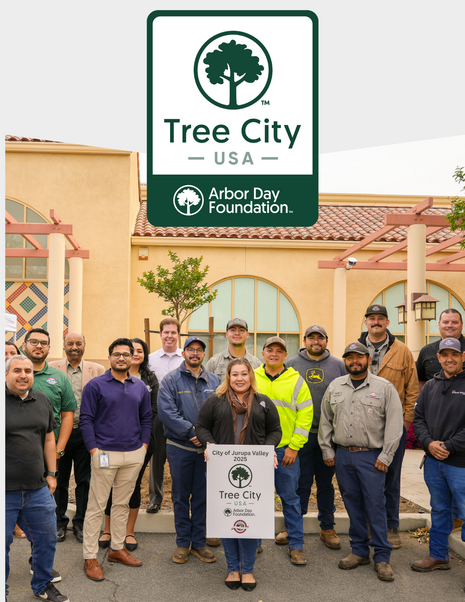 City designated Tree City USA