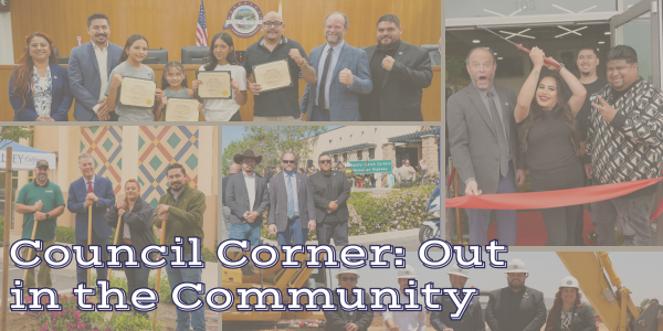 Council Corner graphic grey