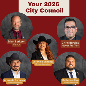 2026 Council Reorg