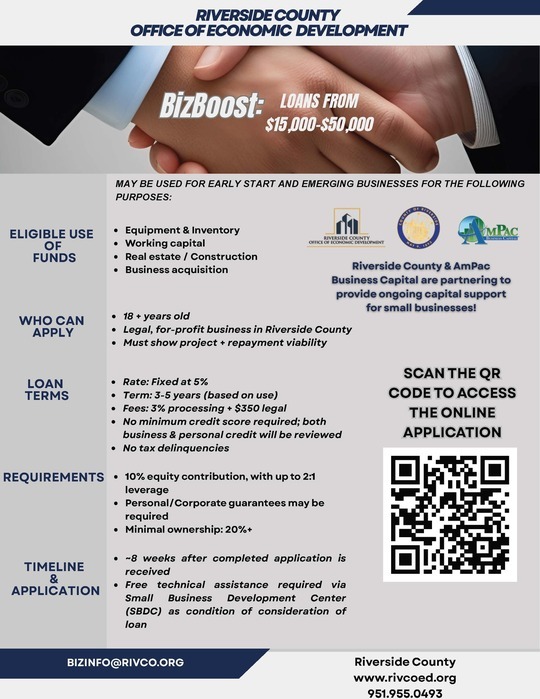 Biz Boost Flyer