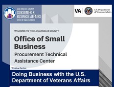 Veterans Affairs webinar