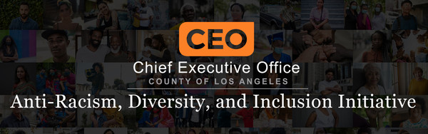 Anti-Racsim, Diversion, and Inclustion Initiative banner