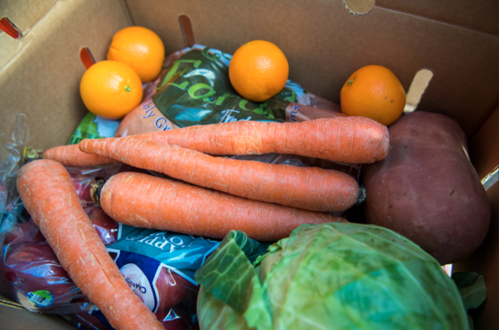 Inside Food Distribution Box
