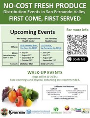 Food Distribution Flyer
