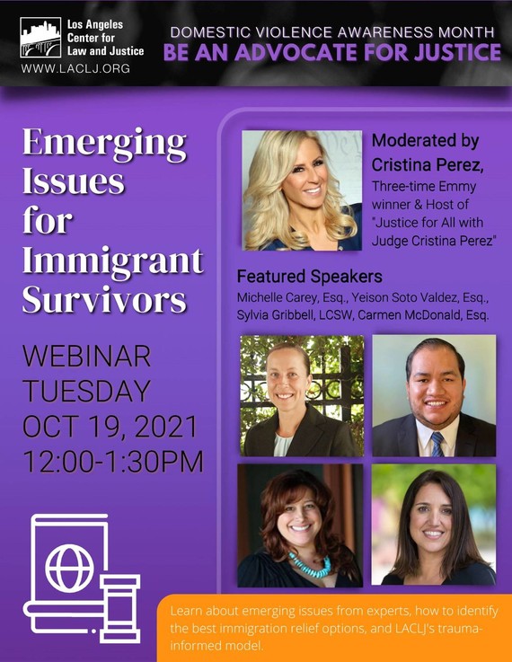 3.	LACLJ: Emerging Issues for Immigrant Survivors