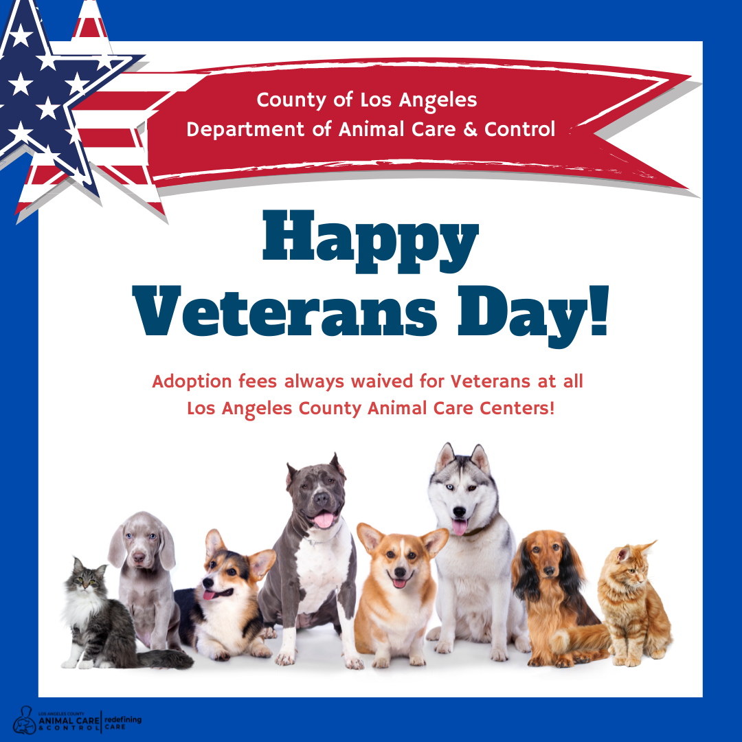 Pet Adoption Fees Waived