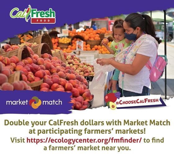 Cal Fresh Benefits in farmers markets